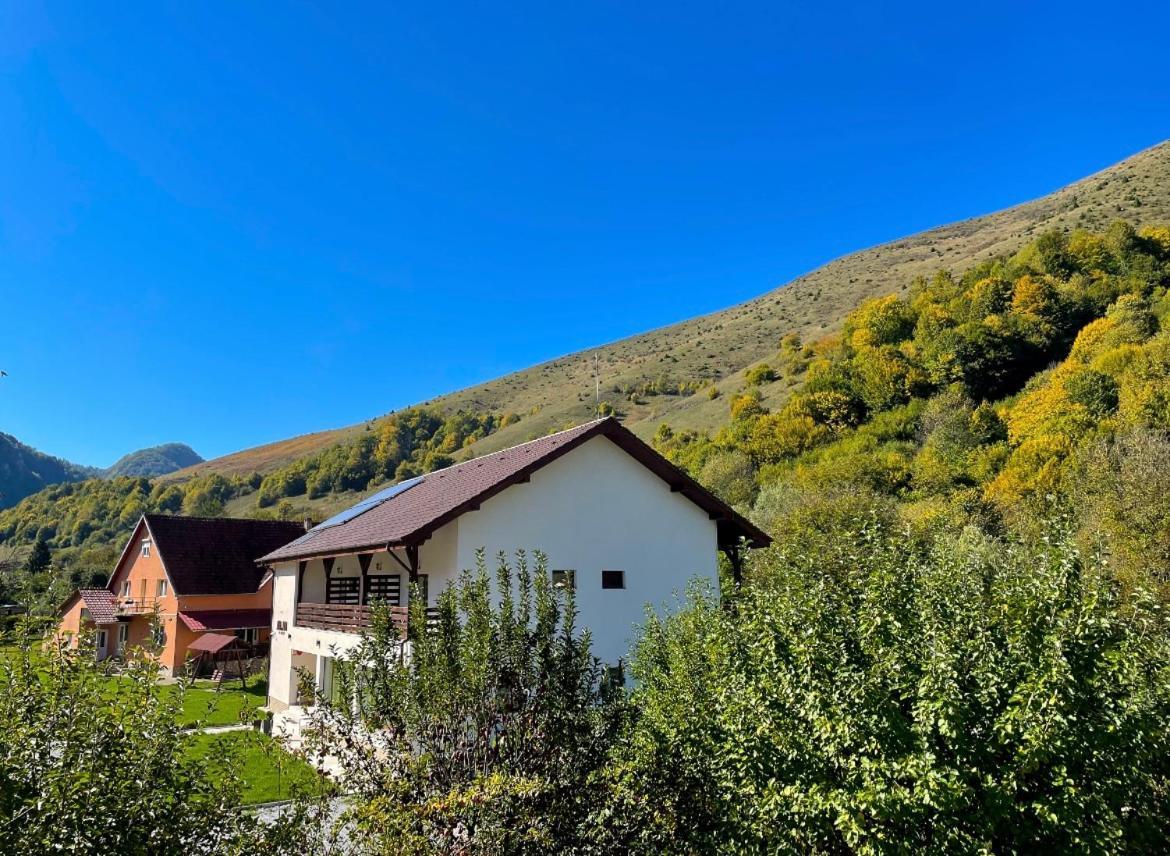Pensiunea An De An Remeţi Exterior foto